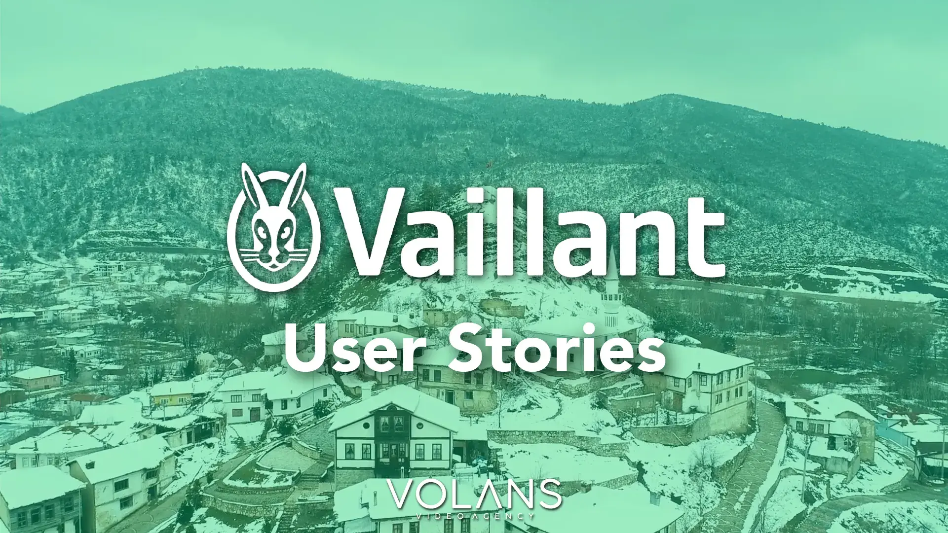 Vaillant
