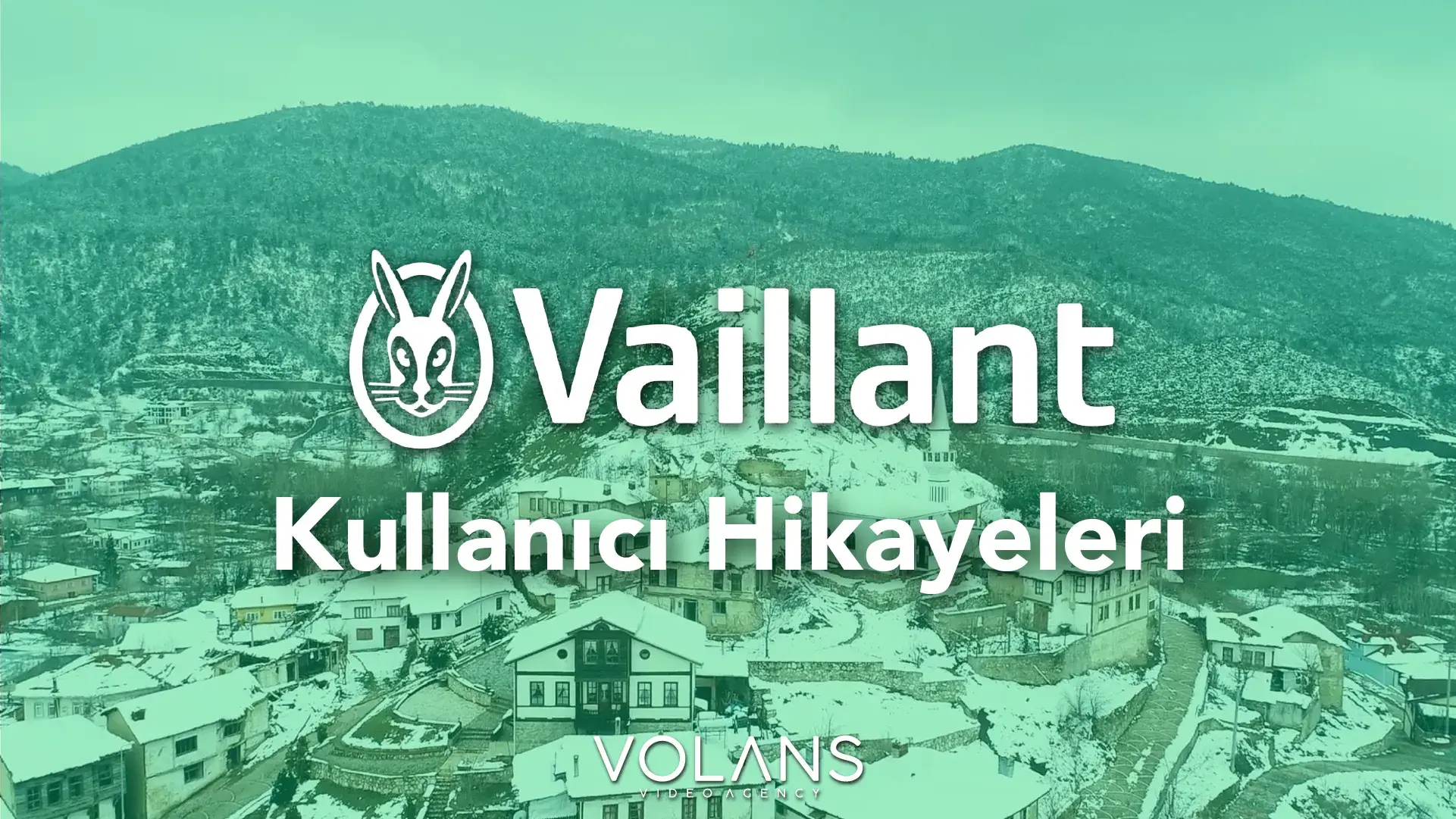 Vaillant
